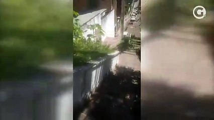 Mato toma conta do entorno da Casa de Roberto Carlos em Cachoeiro