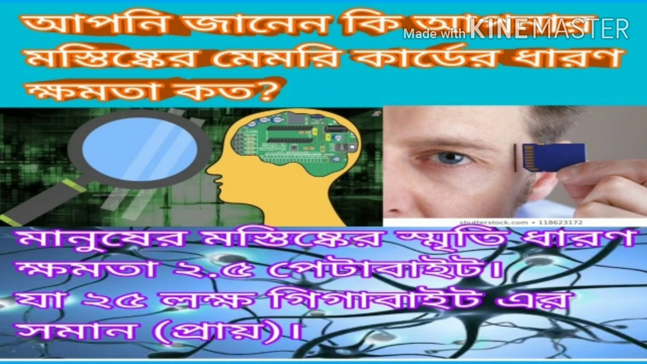 মস্তিষ্কের/ব্রেইনের ক্ষমতা,স্মৃতিশক্তি,বুদ্ধি বাড়ানোর নতুন বিজ্ঞান সম্মত উপায়।