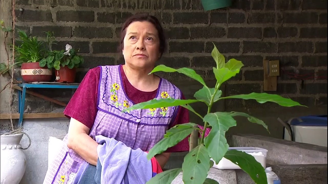 Lo Que Callamos Las Mujeres S01-E01 - Mala Semilla