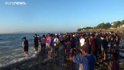 В индонезийском Купанге на берег выбросило гигантского кита