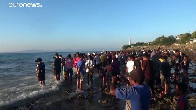 В индонезийском Купанге на берег выбросило гигантского кита