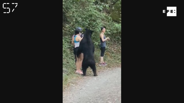 América al día en 60 segundos: miércoles 22 de julio