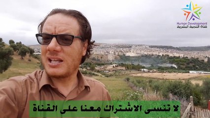 استفز من استفزك الخضراوي نورالدين