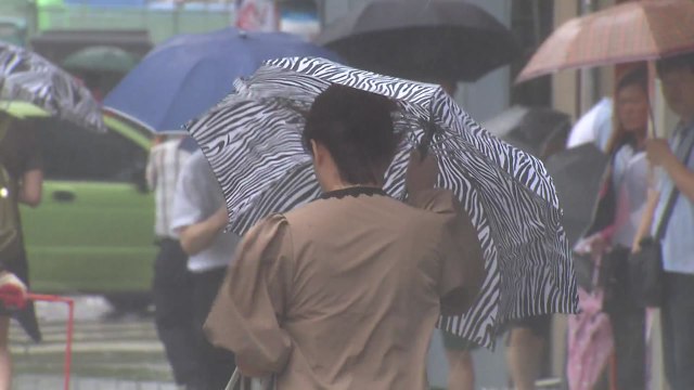 [날씨] 내일까지 강한 비바람...최고 250mm 집중호우 / YTN