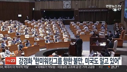 강경화 "한미워킹그룹에 대한 불만, 미국도 알고 있어"