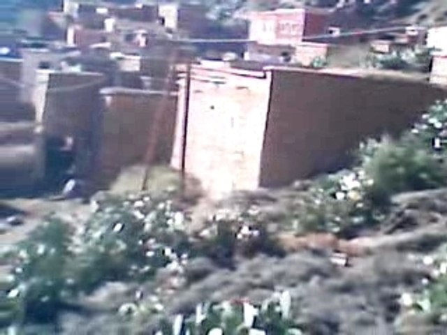 mustapha