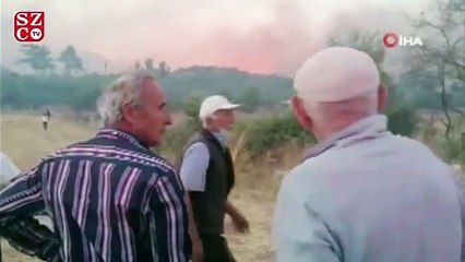 Manavgat'ta orman yangını