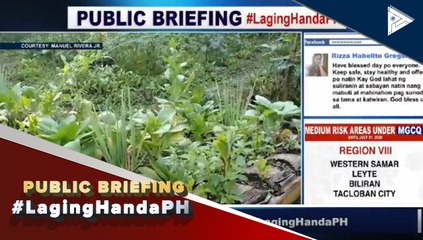 #LagingHanda | Organic garden sa Baguio City, nagsalba sa isang pamilya mula sa gutom sa panahon ng community quarantine
