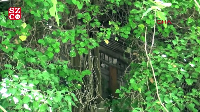 Bartın'da sarmaşık ev görenleri şaşırtıyor