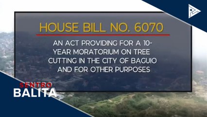 10-year moratorium sa pagputol ng mga puno sa Baguio City, isinusulong