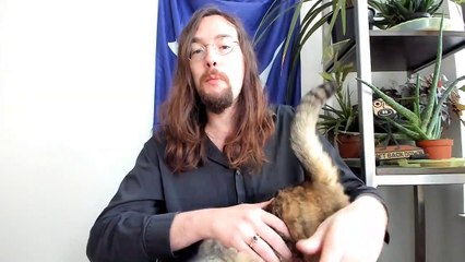 Chicago Mayor Lightfoot Rants About Disallowing Federal Police to Enter Crime-Plagued City