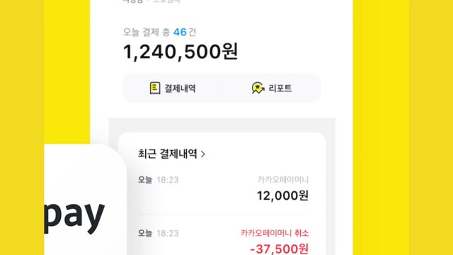 [기업] 카카오페이, 가맹점 매출 관리 돕는 앱 출시 / YTN