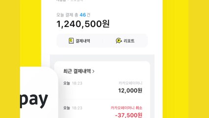 [기업] 카카오페이, 가맹점 매출 관리 돕는 앱 출시 / YTN