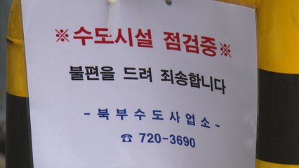 끊이지 않는 수돗물 유충 신고...수도관 파손까지 / YTN