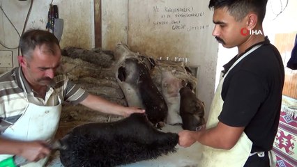 Peynire lezzet katan tulumlar