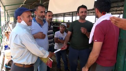 Manisa’da korona virüse karşı fırça ile kurban pazarlığı