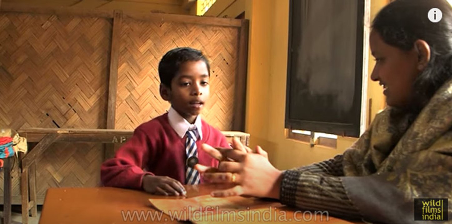 Going to School in India - Assam