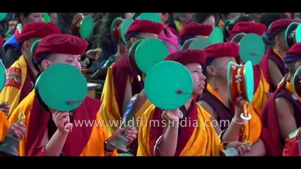 Vande Mataram - Ode to the Nation by Wildfilmsindia