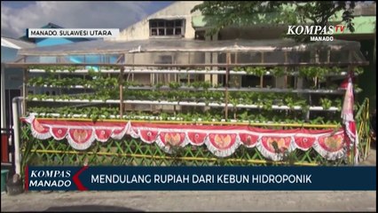 Seorang Nelayan Beralih Profesi Ke Petani Hidroponik