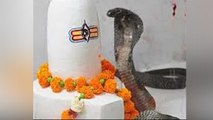 Nag Panchami 2020: नाग पंचमी 2020 शुभ मुहूर्त । Nag Panchami 2020 Shubh Muhurat । Boldsky