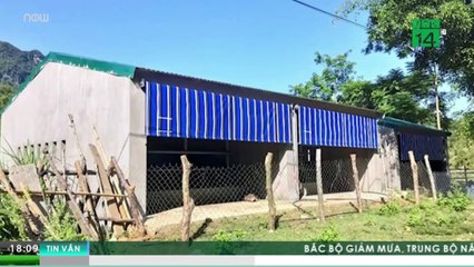 Chuồng bò giá 236 triệu ở Nghệ An, liệu có lãng phí? | VTC