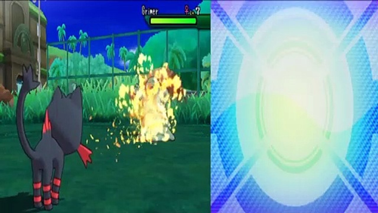 Zorua!