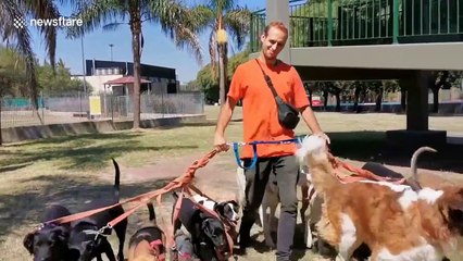 Meet the professional dog walkers of Argentina who went viral during coronavirus lockdown