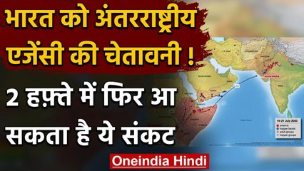 Locust Attack: अंतरराष्ट्रीय एजेंसी का दावा, India पर फिर होगा टिड्डियों का हमला | वनइंडिया हिंदी