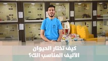 كيف تختار الحيوان الأليف المناسب الك؟ - عالم أليف