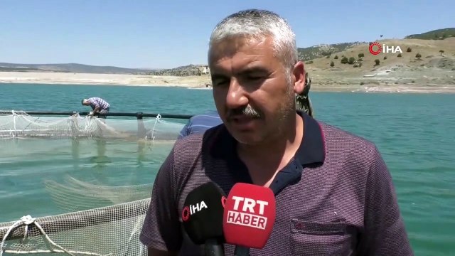 Denize kıyısı olmayan Yozgat’ta yıllık bin ton alabalık üretiliyor