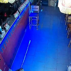 बीयर बार से नोटों की गड्डी ले गई बिल्ली, देखिए इस चालाक चोर की वायरल वीडियो