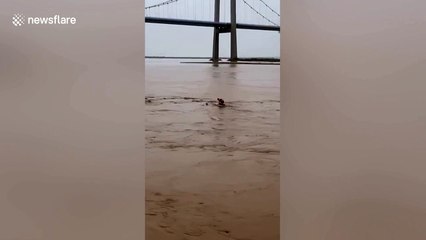 Retired athlete rescues fisherman who fell into river in northern China