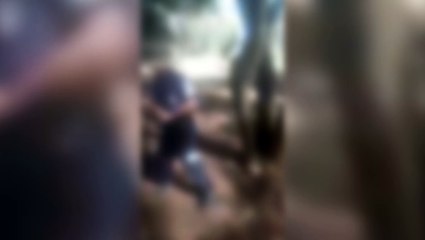 Guarda municipal atira ao tentar impedir circulação de ciclistas em Curitiba