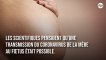 La transmission du Covid-19 de la mère au fœtus confirmée par des médecins français