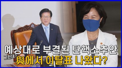 [나이트포커스] 예상대로 추미애 탄핵소추안 부결...그런데 여당 이탈표가 있다? / YTN