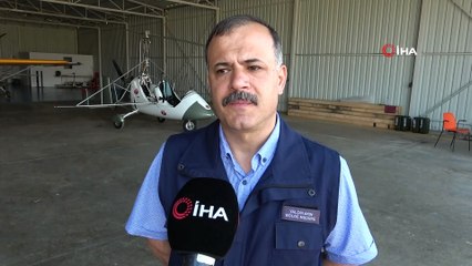 Tırtılların zarar verdiği kayın ormanları yeniden yeşerdi