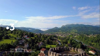 Des racines et des ailes