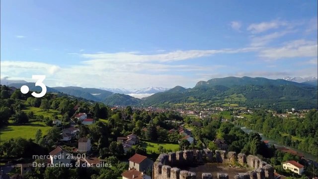 Des racines et des ailes