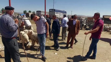 Afyonkarahisar'da hayvan pazarında hareketlilik