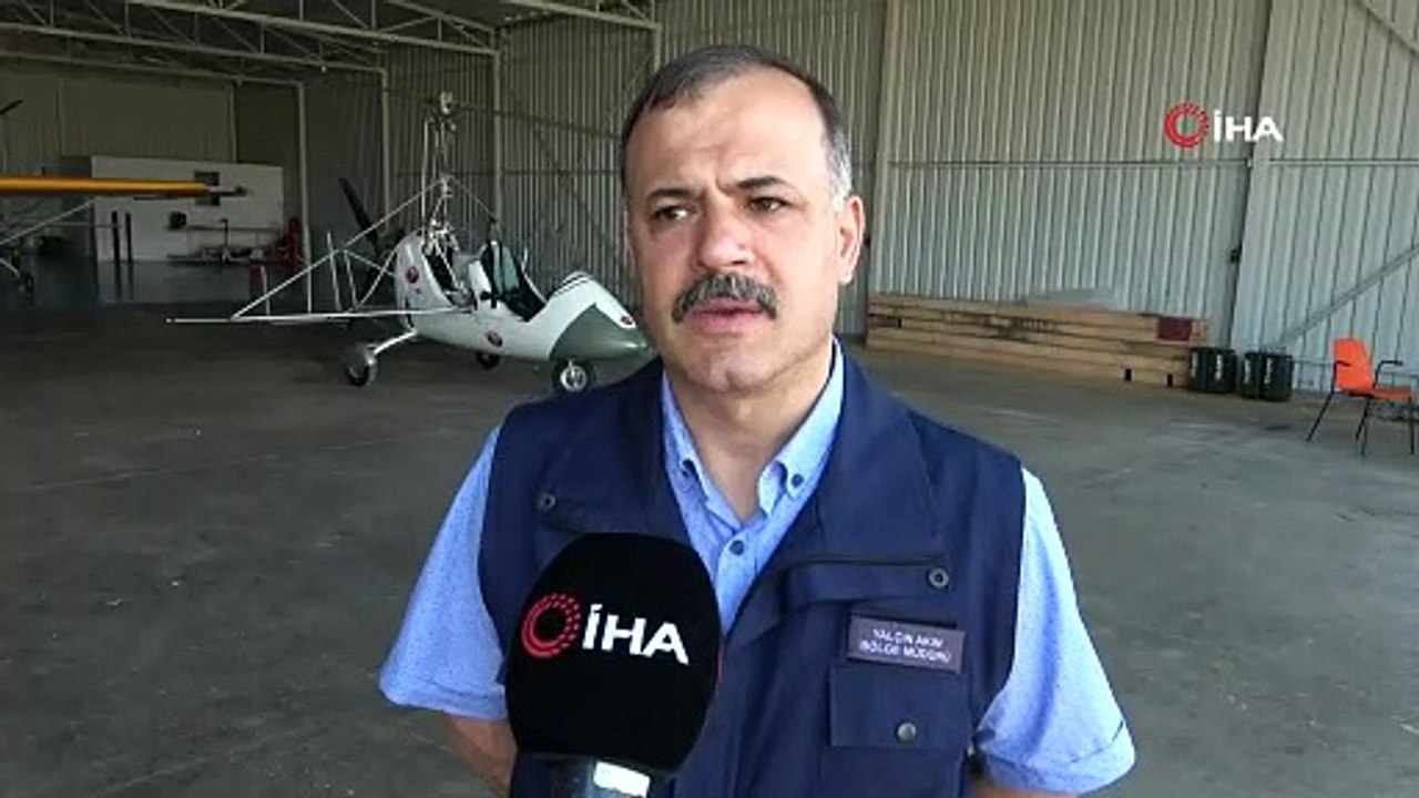 Tırtılların zarar verdiği kayın ormanları yeniden yeşerdi