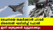Hamer missile in rafale fight jet  | Oneindia Malayalam