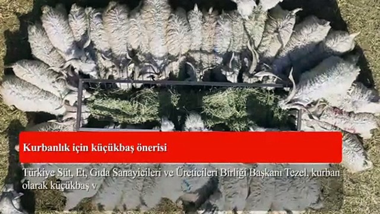 23 Temmuz gün ortası