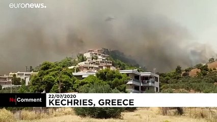 Erdőtüzek pusztítanak Görögország déli részén
