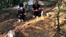 Vahşice öldürülen Pınar Gültekin’in mezarına bayram şekeri bırakıldı