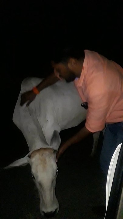 रिपोर्टर ने दुर्घटना से बचने के लिए बीच सड़क पर...