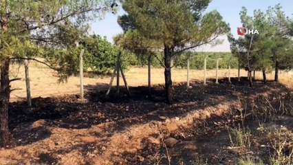 Sigara izmariti binlerce dönümlük araziyi yakacaktı