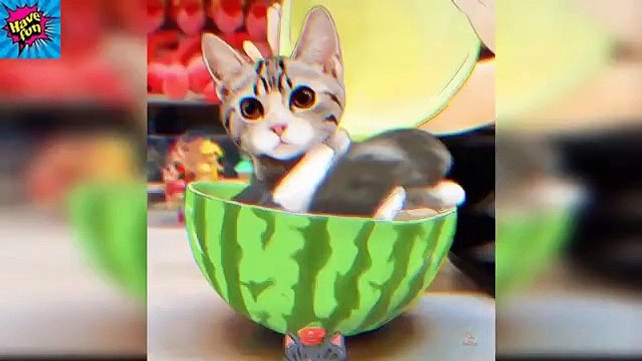 Baby Cats - Cute and Funny Cat Videos Compilation