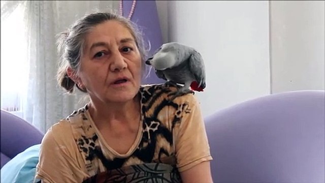 Ufuk Jako Papagan 1 Bölüm Sır Yapım Sunar