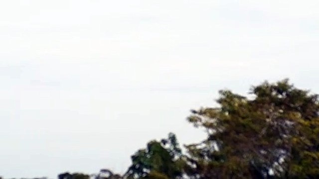 [SBEG Spotting]Boeing 767-300ER PT-MSW na final antes de pousar em Manaus vindo de Guarulhos(23/07/2020)