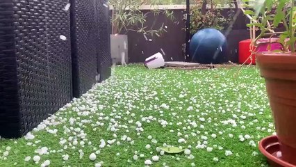 Grêle et rafales de vent sur Montpellier ! 23 Juillet 2020